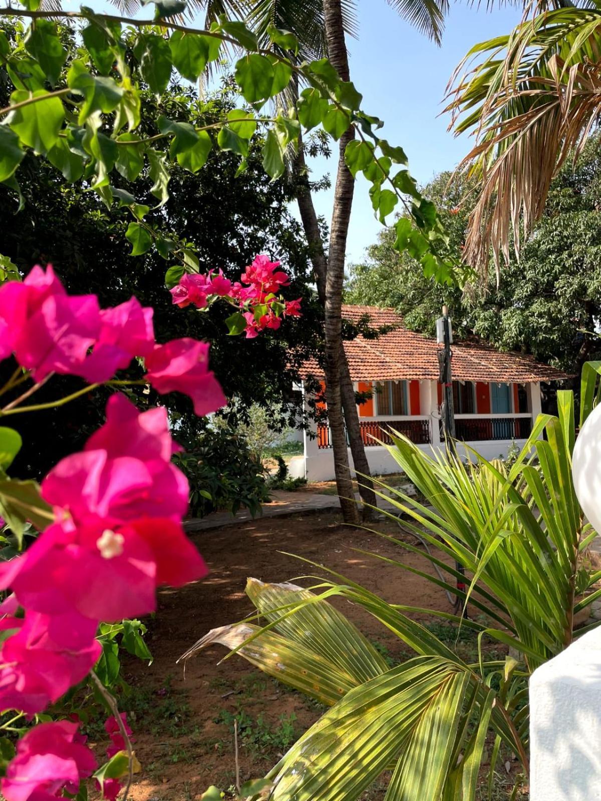 Papilio Beach Front Cottages-Tbv Baga Luaran gambar